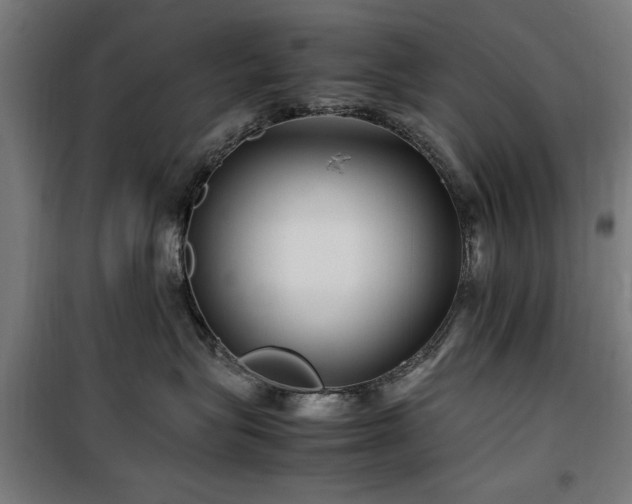X0000100190575200805301250
