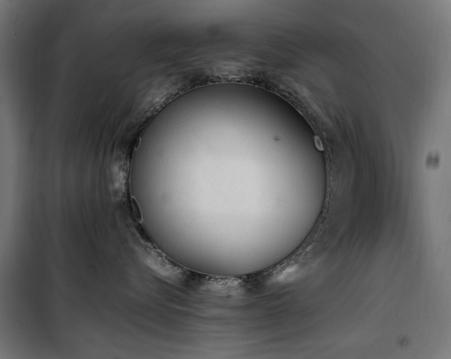 X0000100190576200805301250