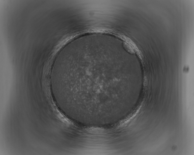 X0000100190577200805301249