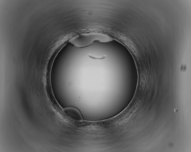 X0000100190578200805301249