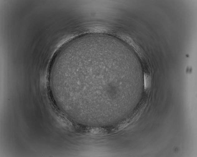 X0000100190579200805301249