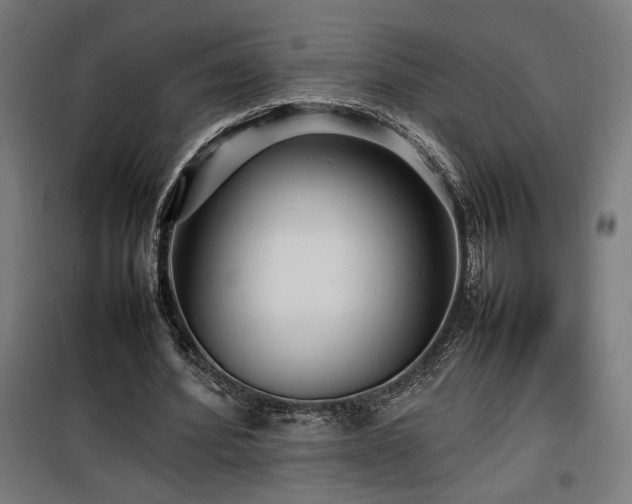 X0000100190580200805301249