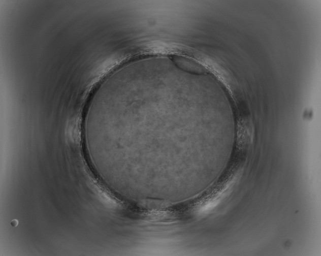 X0000100190581200805301249