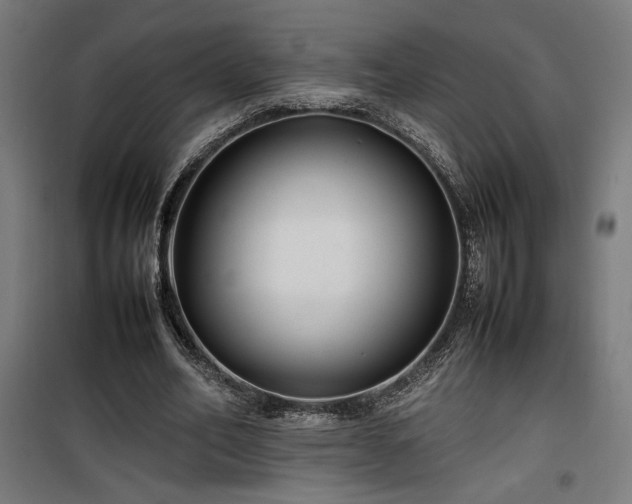 X0000100190582200805301249