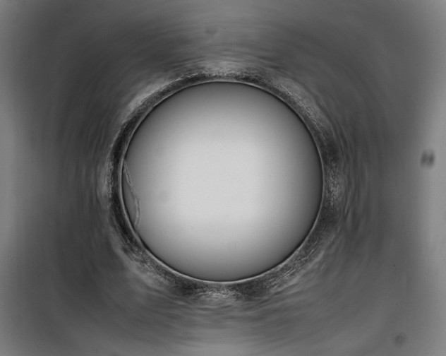 X0000100190583200805301249
