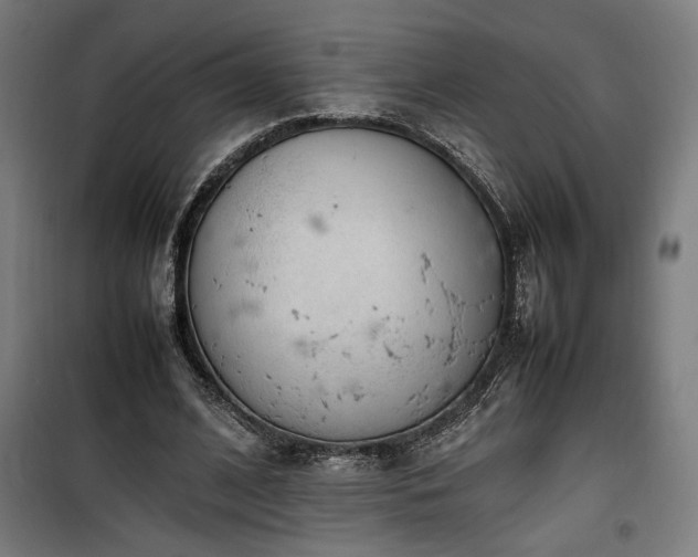 X0000100190584200805301249