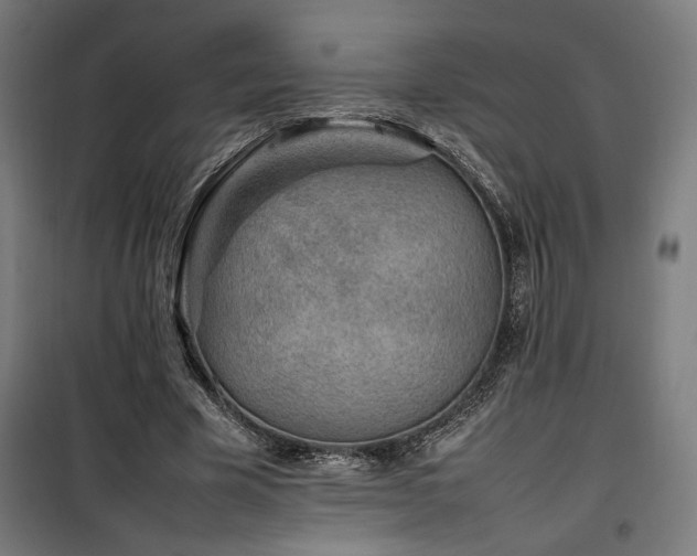 X0000100190585200805301249