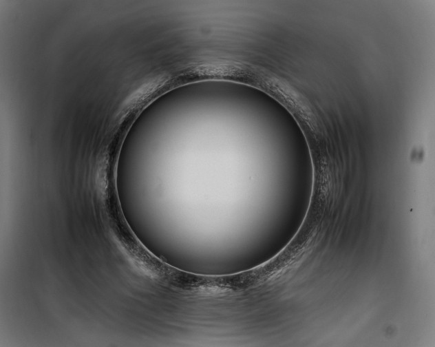 X0000100190586200805301249