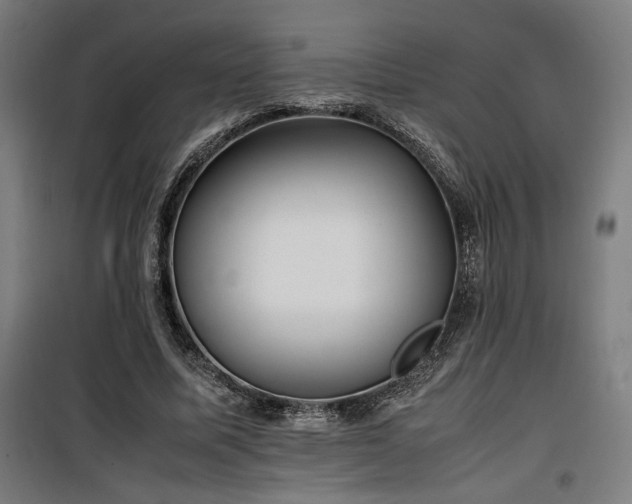 X0000100190587200805301249