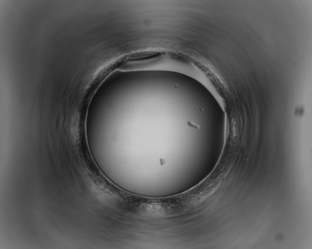 X0000100190588200805301249