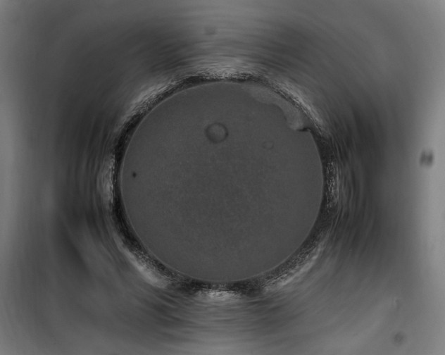 X0000100190590200805301249