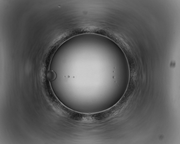 X0000100190591200805301249