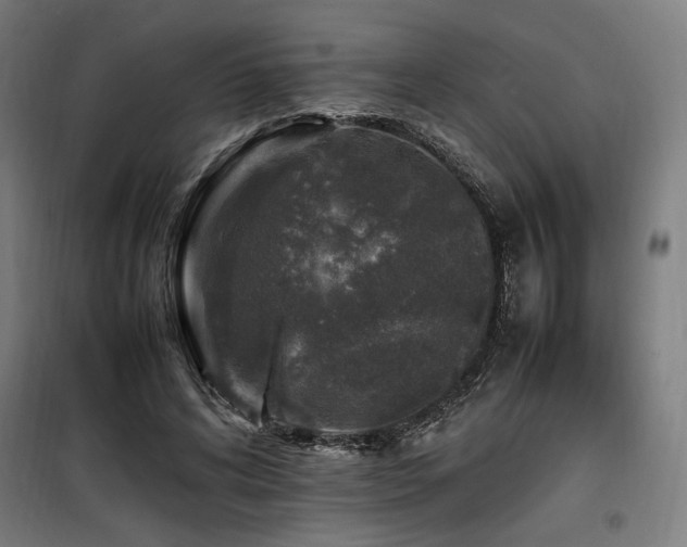X0000100190592200805301249