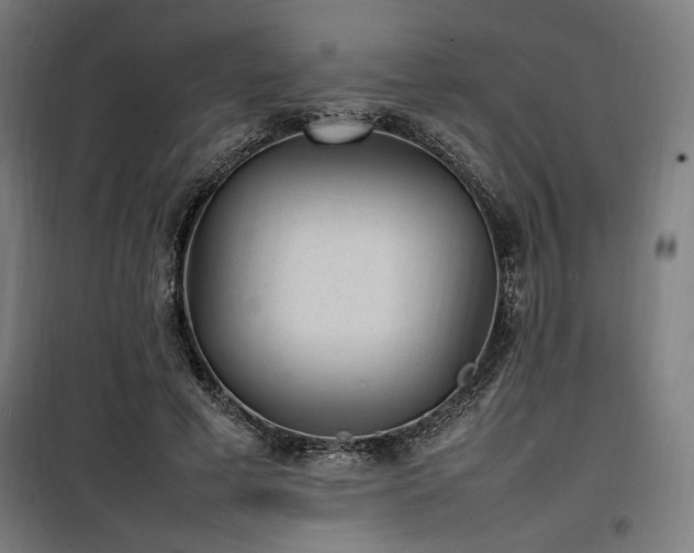 X0000100190593200805301249