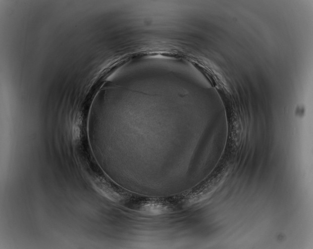 X0000100190596200805301249