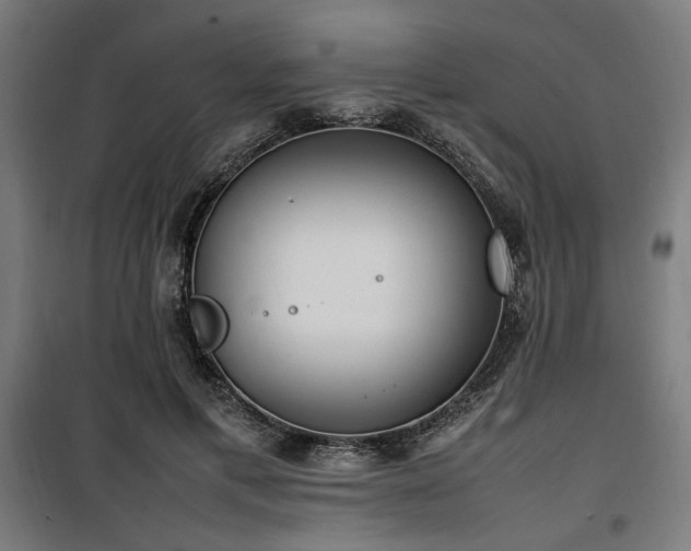 X0000100190597200805301249