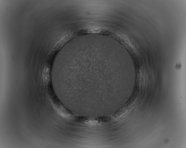 X0000100190598200805301249
