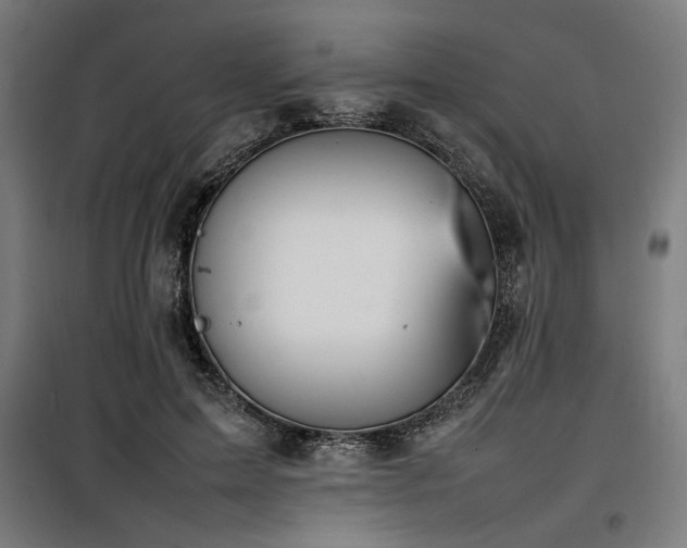 X0000100190599200805301249