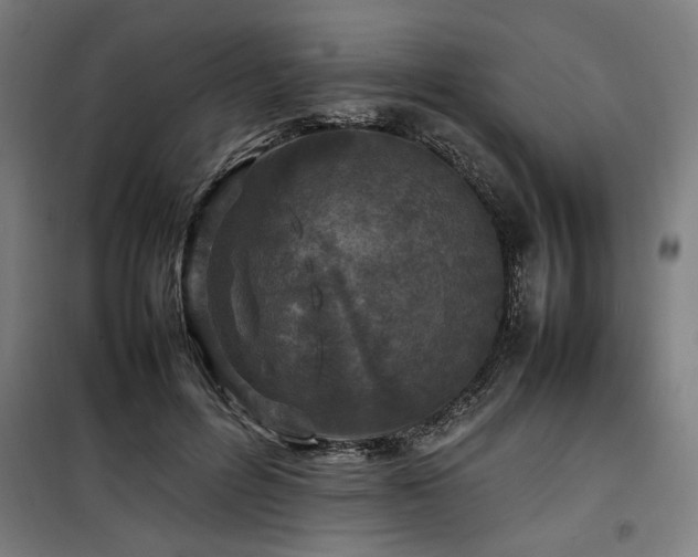X0000100190600200805301249