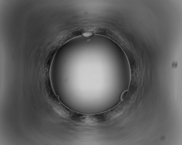 X0000100190601200805301249