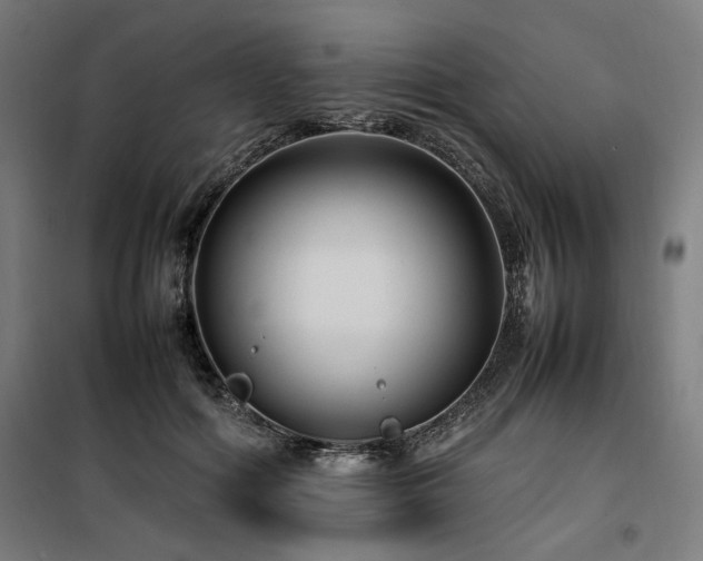 X0000100190602200805301249