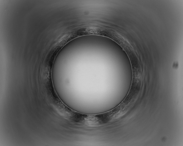 X0000100190603200805301249