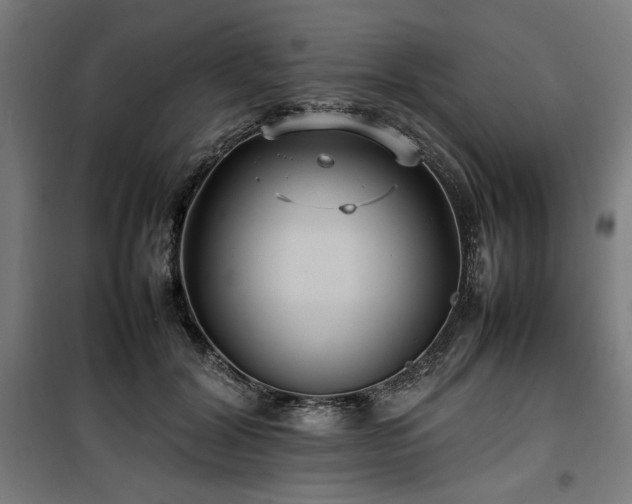 X0000100190604200805301249
