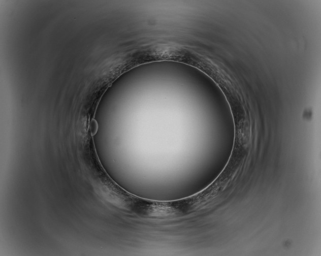 X0000100190605200805301249