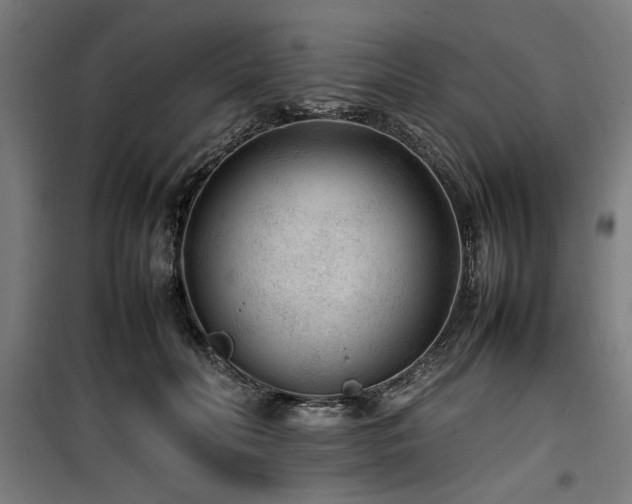 X0000100190606200805301249