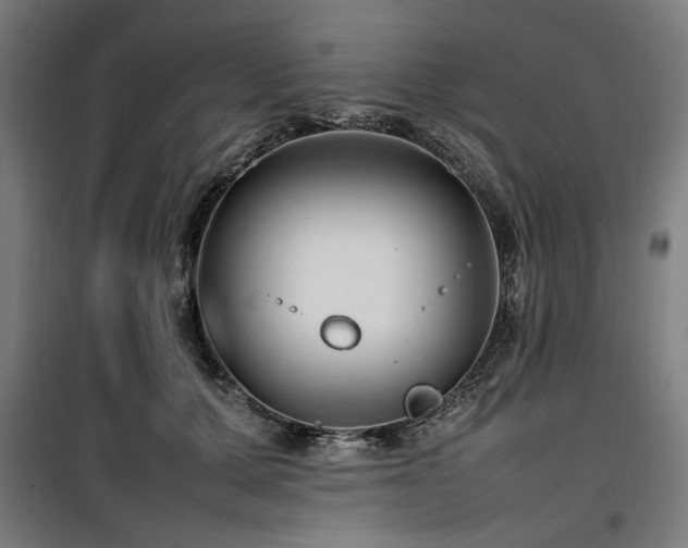 X0000100190607200805301249