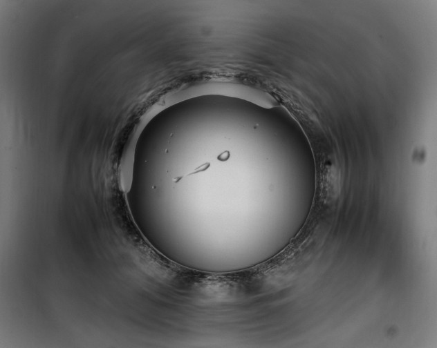 X0000100190608200805301249