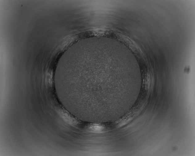 X0000100190610200805301249