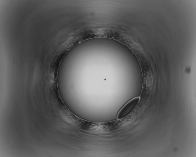 X0000100190611200805301249