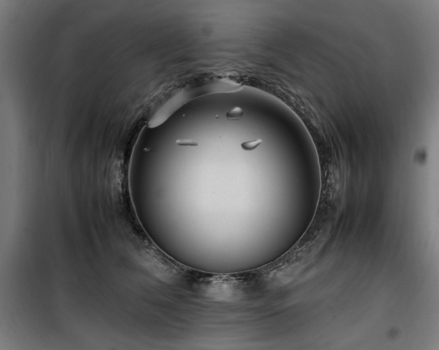 X0000100190612200805301249