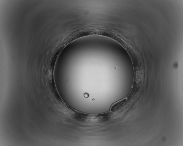 X0000100190613200805301249