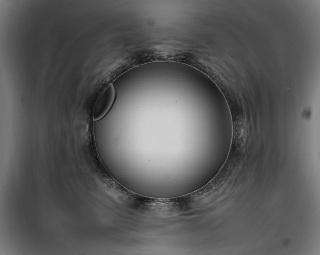X0000100190615200805301249