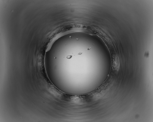 X0000100190616200805301249