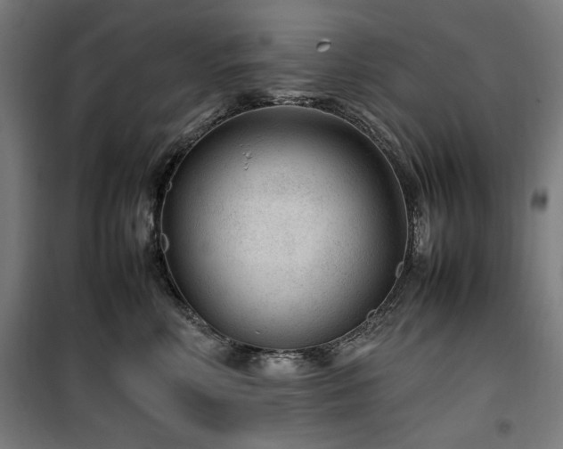 X0000100190618200805301249