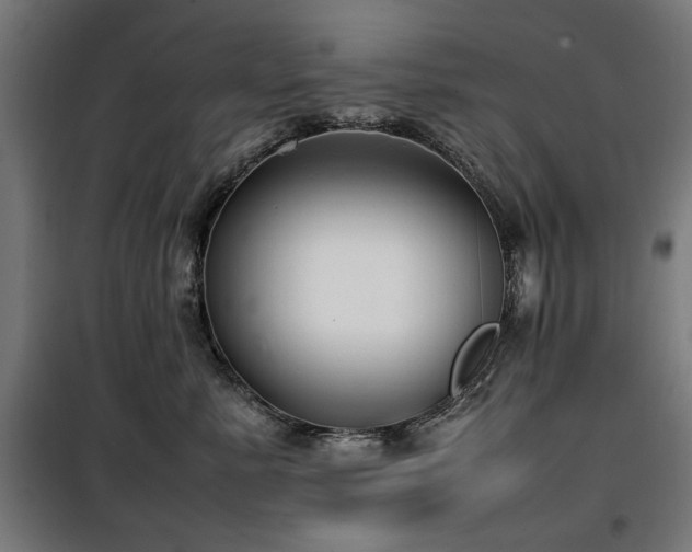 X0000100190619200805301248