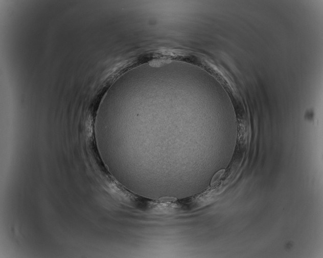 X0000100190621200805301248