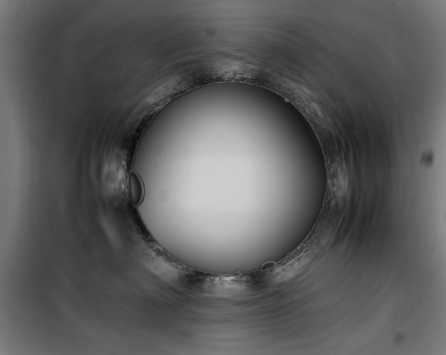 X0000100190622200805301248