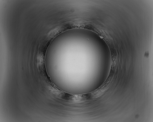 X0000100190623200805301248