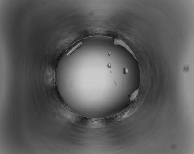 X0000100190624200805301248