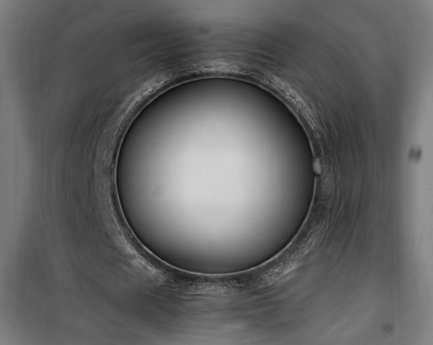 X0000100190625200805301248