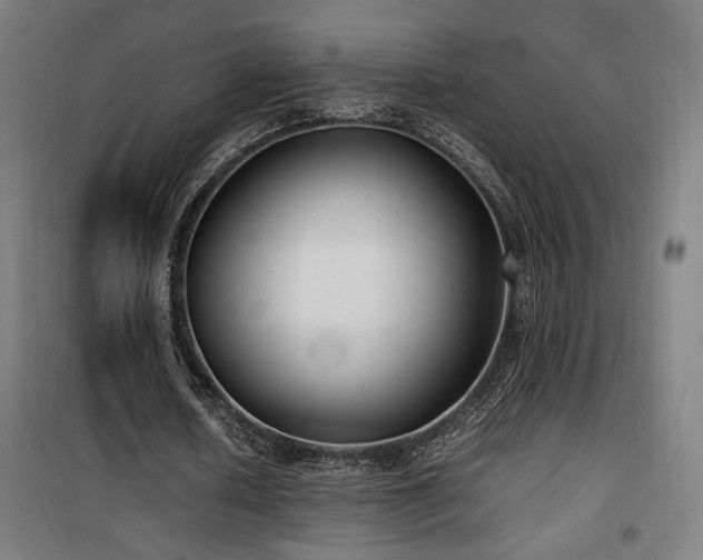 X0000100190626200805301248