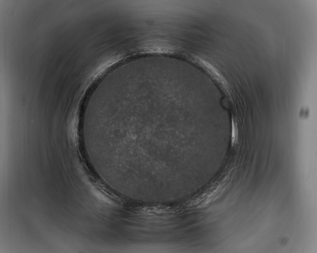 X0000100190627200805301248