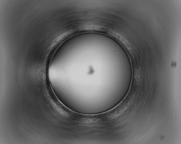 X0000100190629200805301248