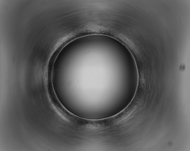 X0000100190630200805301248