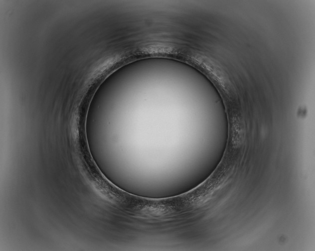 X0000100190631200805301248