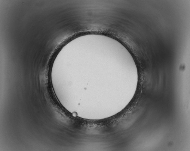 X0000100190632200805301248